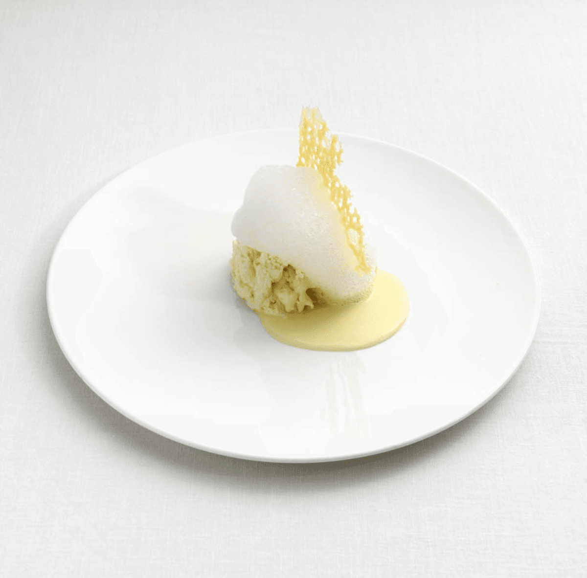 パルミジャーノの5つの年齢と食感