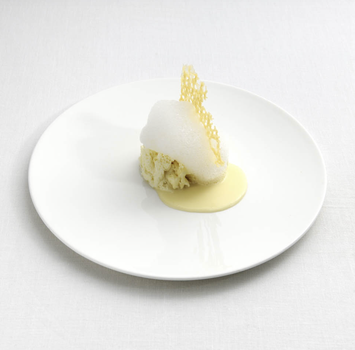 パルミジャーノの5つの年齢と食感